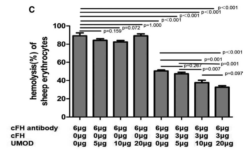 UMOD enhanced the prevention of the Sheep erythrocytes from haemolysis.jpg